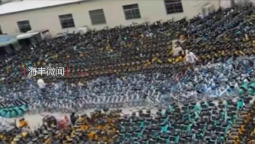 最新海丰爆料,揭秘背后惊人真相