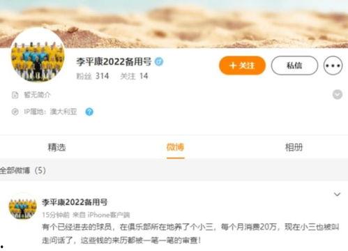 李平康的最新爆料新闻,揭秘娱乐圈惊人内幕  第2张